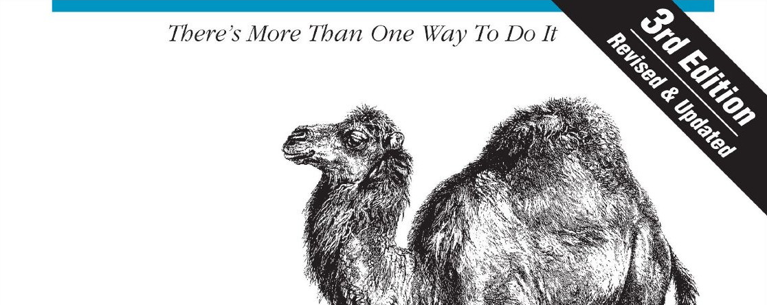 Programming Perl
